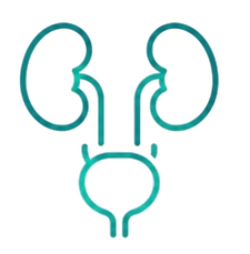 Urology