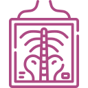 Digital X-Ray